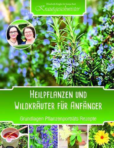 Heilpflanzen und Wildkräuter für Anfänger