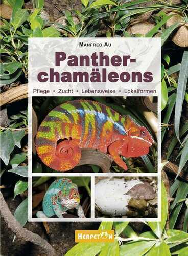 Pantherchamäleons — Manfred Au