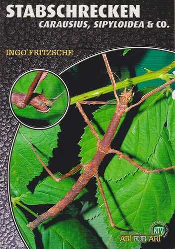 Stabschrecken — Ingo Fritzsche