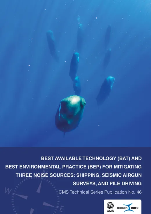 Best Available Technology (BAT) and Best Environmental Practice (BEP) for Mitigating Three Noise Sources: Shipping, Seismic Airgun Surveys, and Pile Driving