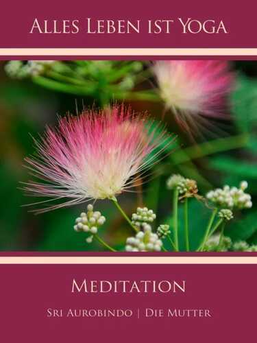 Meditation — Sri Aurobindo