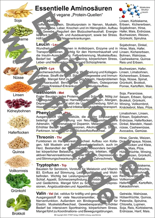 Aminosäuren und vegane Protein-Quellen