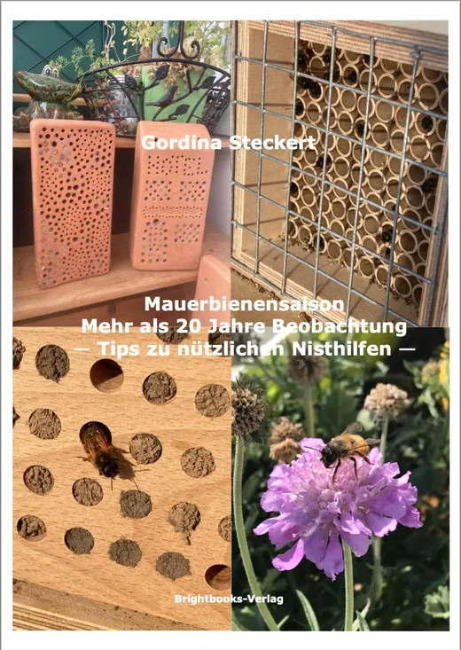 Mauerbienensaison