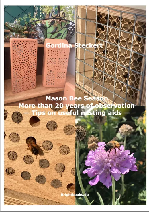 Mason Bee Season