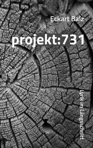 projekt: 731 — Eckart Balz