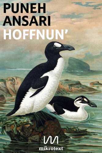 Hoffnun' — Puneh Ansari