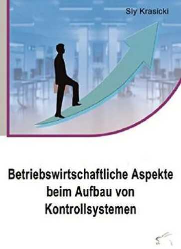 Betriebswirtschaftliche Aspekte beim Aufbau von Kontrollsystemen