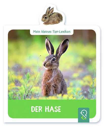 Der Hase — Hannah Kastenhuber