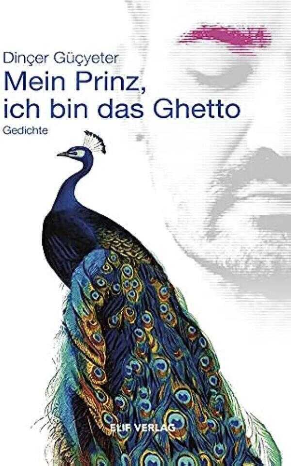 Mein Prinz, ich bin das Ghetto: Gedichte