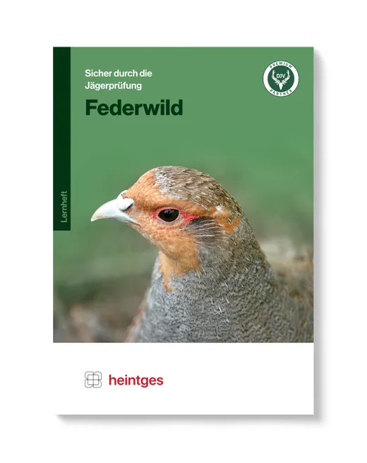 Federwild