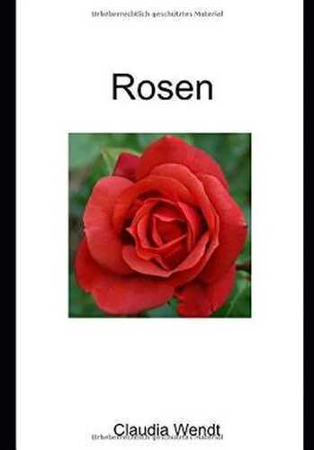 Rosen: Blütenpracht im Garten