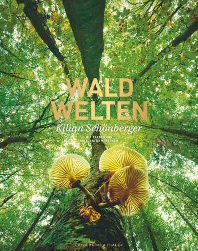 Waldwelten — Kilian Schönberger