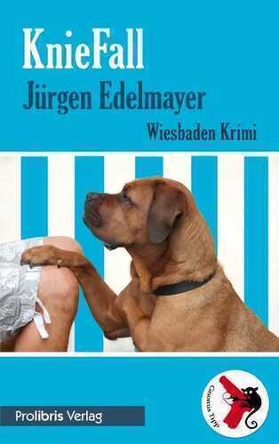KnieFall — Jürgen Edelmayer