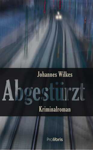 Abgestürzt — Johannes  Wilkes