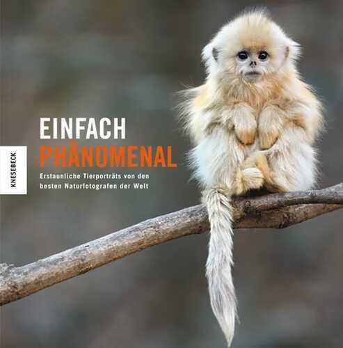 Einfach phänomenal — Natural History Museum