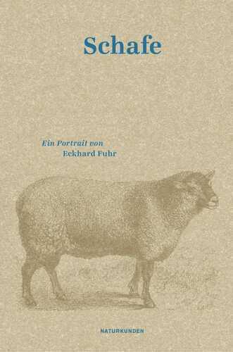 Schafe — Eckhard Fuhr
