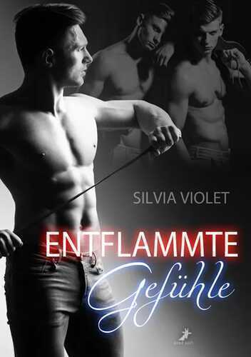 Entflammte Gefühle — Silvia Violet