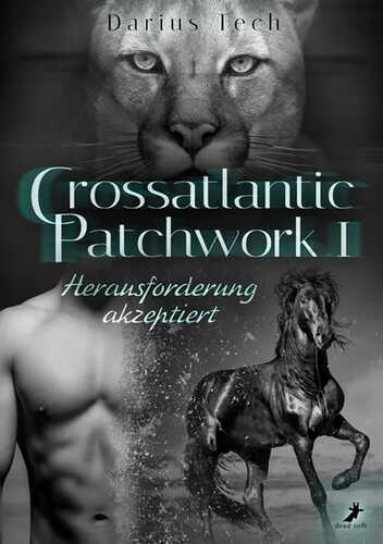 Crossatlantic Patchwork 1: Herausforderung akzeptiert