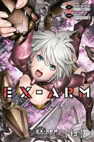 EX-ARM 13 — Shin-ya Komi HiRock