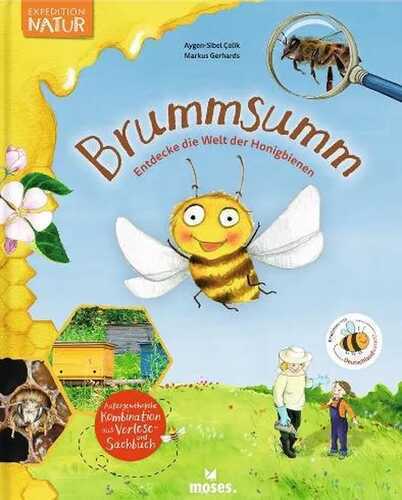 Brummsumm — Aygen-Sibel Çelik