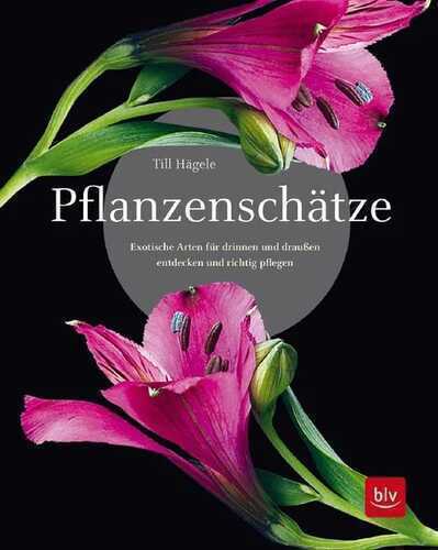 Pflanzenschätze — Till Hagele