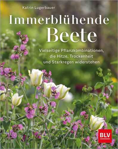 Immerblühende Beete