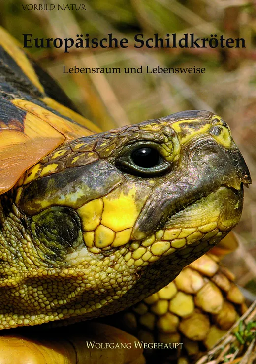 Europäische Schildkröten