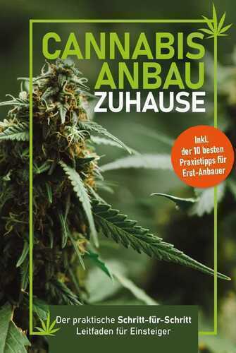 Cannabis-Anbau zu Hause