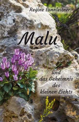 Malu und das Geheimnis des kleinen Lichts
