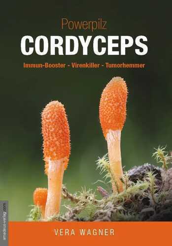 Powerpilz Cordyceps