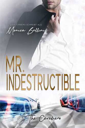 Mr. Indestructible — Lisa Torberg