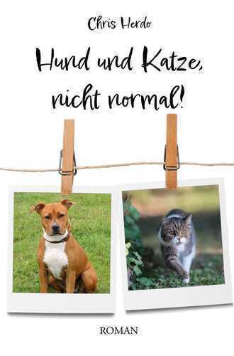 Hund und Katze, nicht normal!