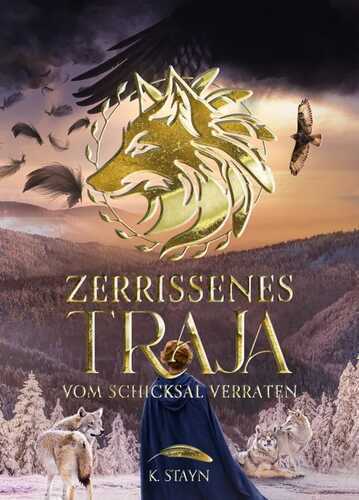 Zerrissenes Traja — K. Stayn