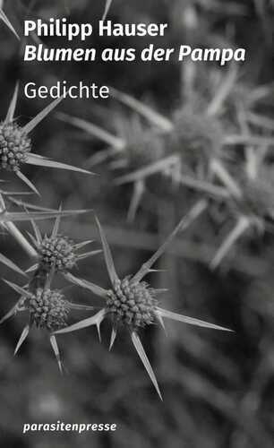 Blumen aus der Pampa
