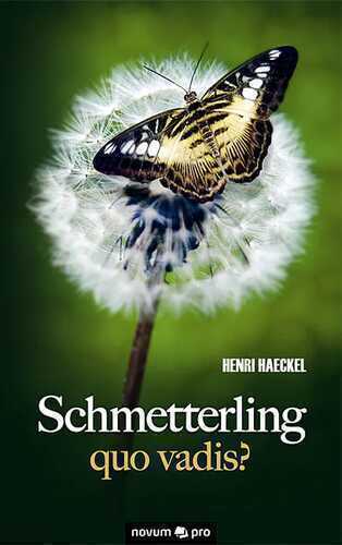 Schmetterling quo vadis?
