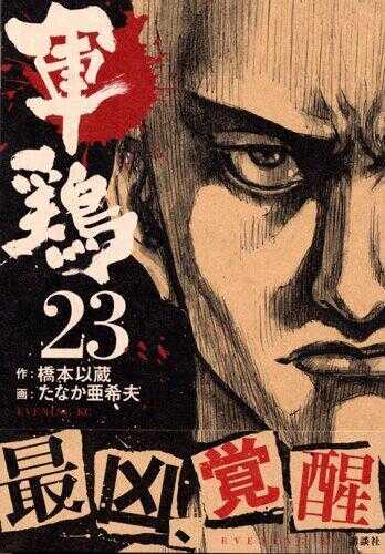 Shamo 23