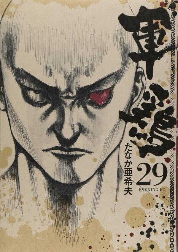 Shamo 29