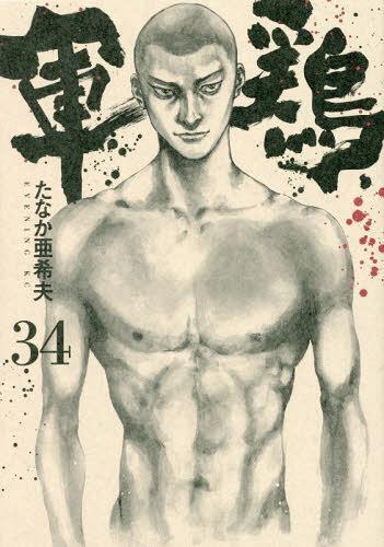 Shamo 34