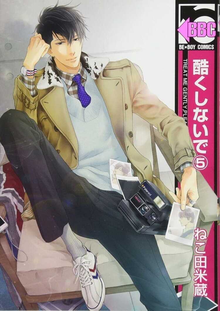 酷くしないで 5 [Hidoku Shinaide 5]
