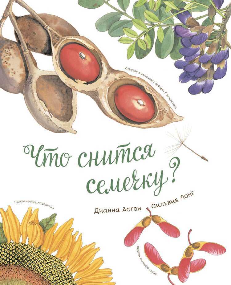 Что Снится Семечку?