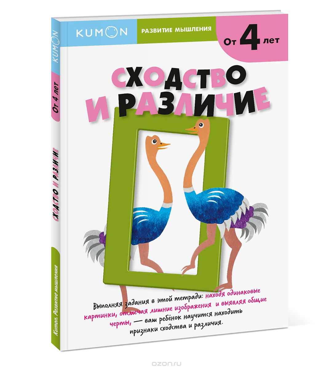 Kumon. Развитие Мышления. Сходство И Различие