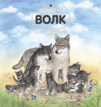 Животные В Природе. Волк