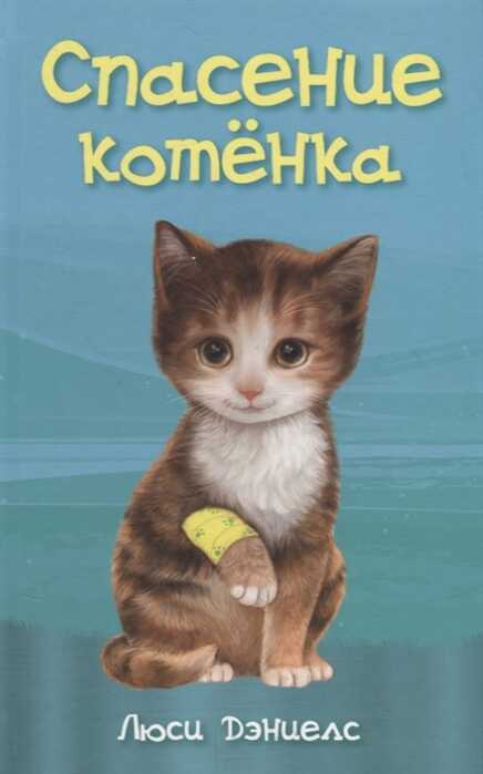 Спасение Котенка