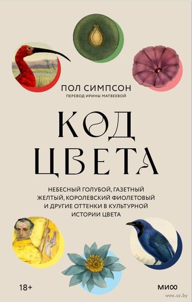 Код цвета. Небесный голубой, газетный желтый, королевский фиолетовый и другие оттенки