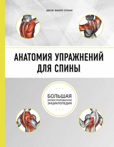 Анатомия Упражнений Для Спины