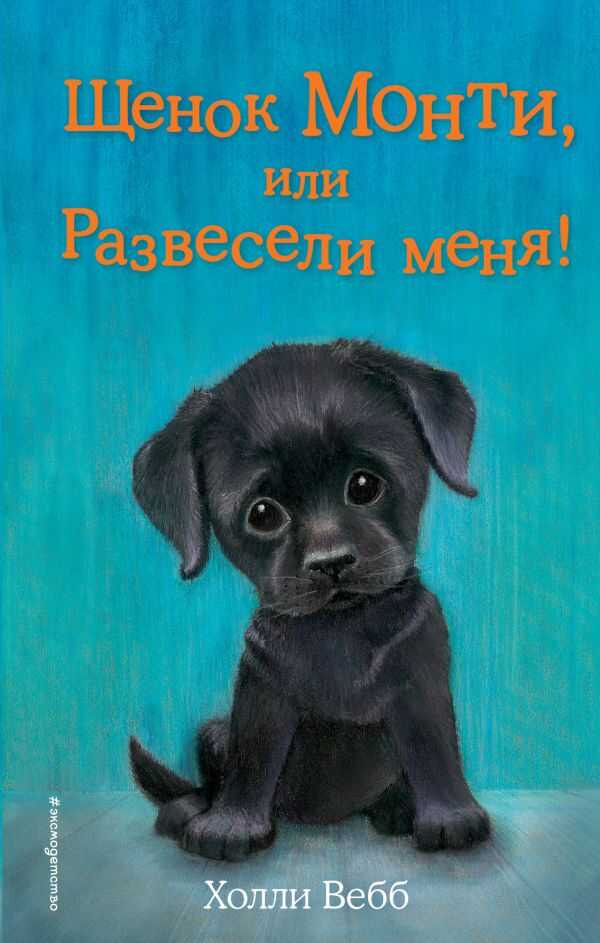 Щенок Монти, Или Развесели Меня!