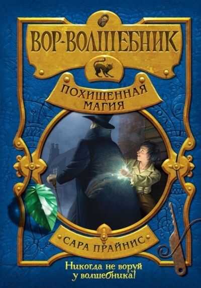 Вор-волшебник. Похищенная Магия