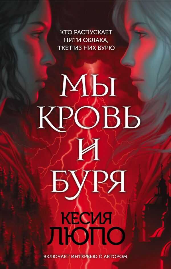 МЫ — КРОВь И БУРЯ