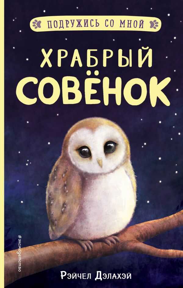 Храбрый Совенок