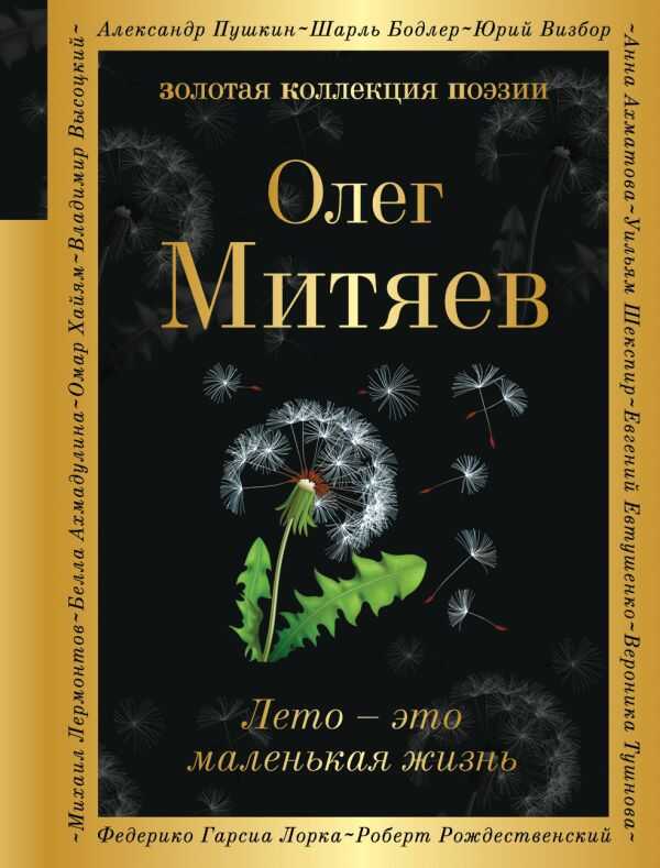 ЛЕТО - ЭТО МАЛЕНьКАЯ ЖИЗНь